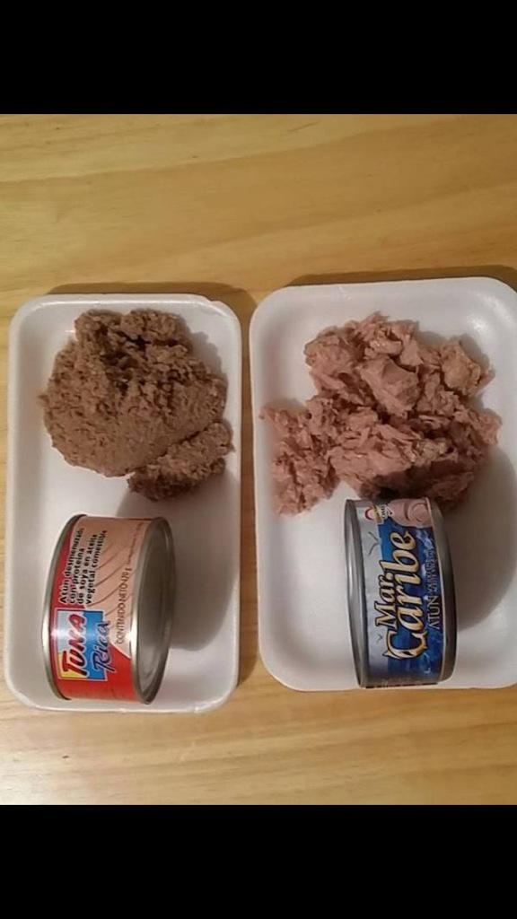 perpetuok's tweet photo. Dizque Atun (Mercal) y Atun Normal. Revolucion Alimentaria? http://t.co/yILoRNQBSW