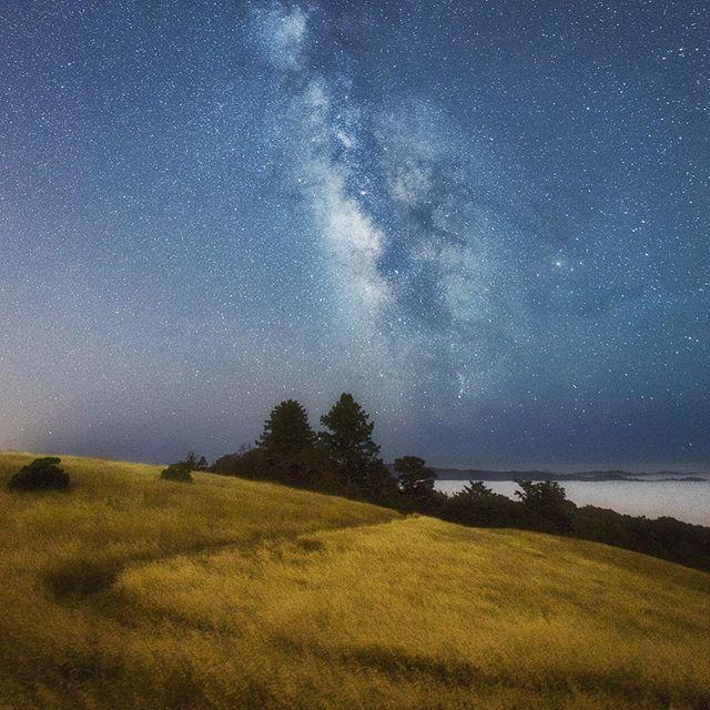 We followed the trail into the night and this is where it led.