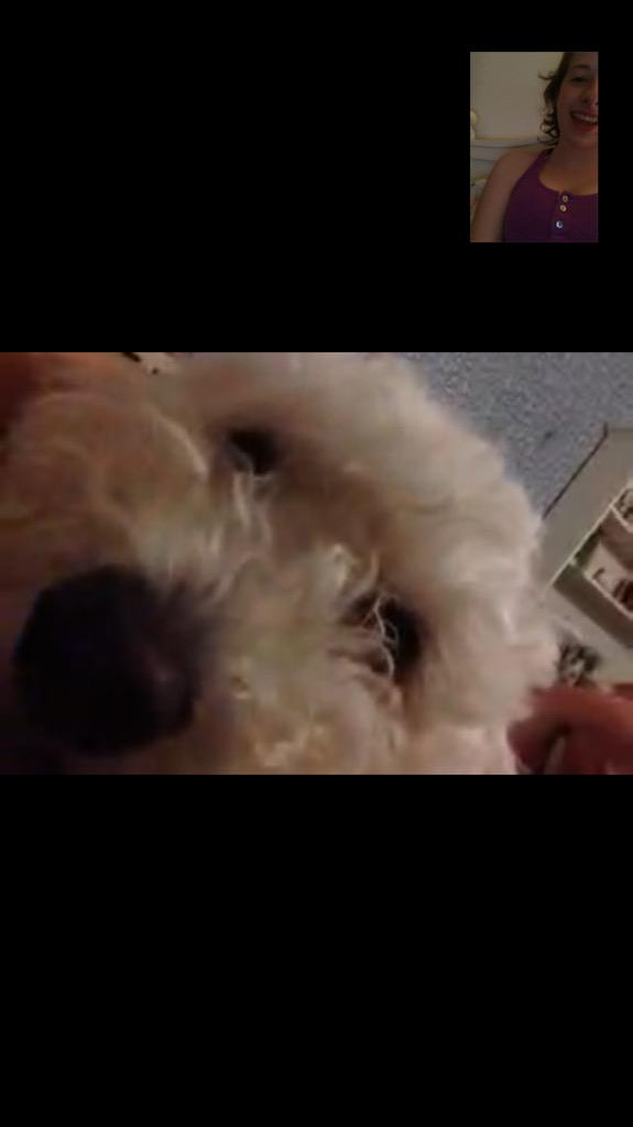 sophrmart's tweet photo. Being away is too hard #dailyfacetime http://t.co/M9W77VhwsM
