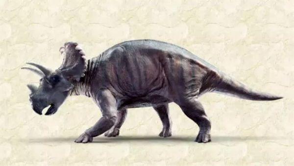 GlobalEdmonton's tweet image. ICYMI: A new horned dinosaur was discovered in Alberta glbn.ca/PurHn