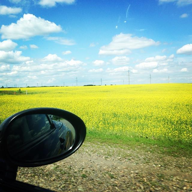 Это твоя Родина , сынок 💛🇷🇺 #бийск