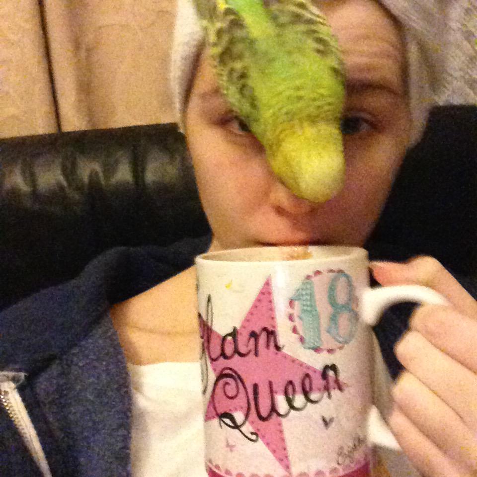 TanyaN94's tweet photo. Ziggy wondering what this hot chocolate idea is all about @curiousonstage #CuriousPets http://t.co/CmhtJaS3v5