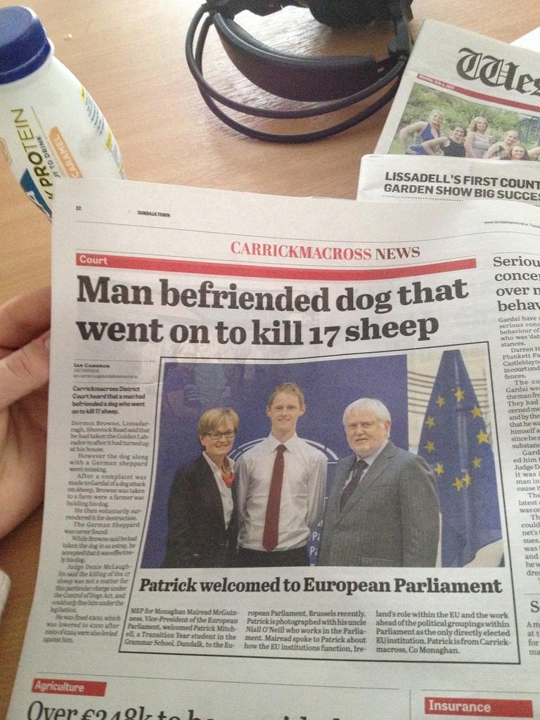 TheRewindIrl's tweet photo. The sad tale of how sometimes dog is not man's best friend and more unmissable local stories http://t.co/F0VCgldQGf http://t.co/HOYFNH6aZ4