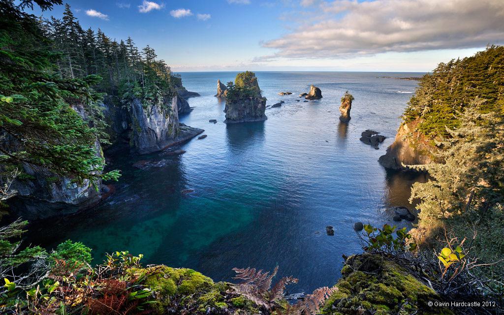 _emmavdolan's tweet photo. olymic national park is so incredibly gorgeous 😍 http://t.co/K78vMnuW9S