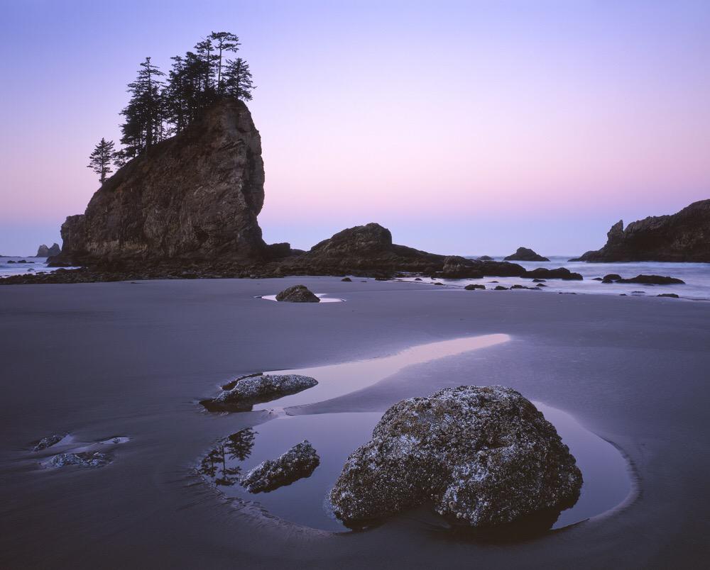 _emmavdolan's tweet photo. olymic national park is so incredibly gorgeous 😍 http://t.co/K78vMnuW9S