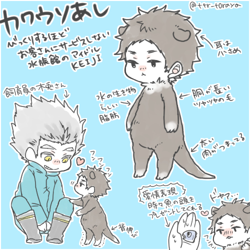 かわうそ葦 