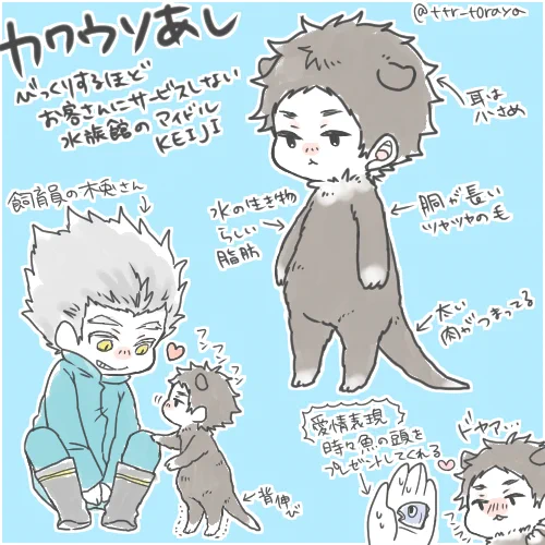 かわうそ葦 