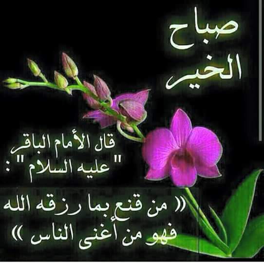 Saalam (@asam123446) on Twitter photo 