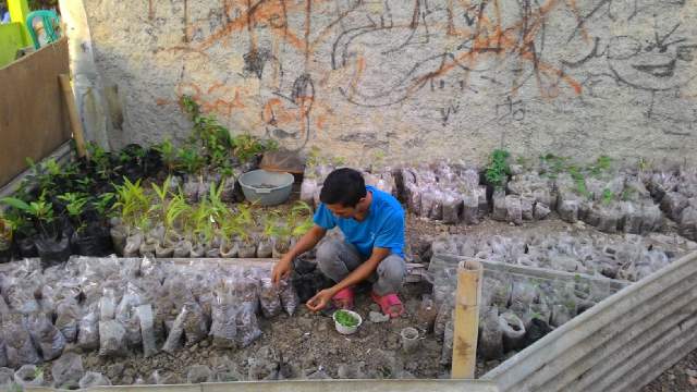 bintangalam11's tweet photo. Mengutamakan bibit sayuran ( bintara11 ) http://t.co/4x41nPO4Op