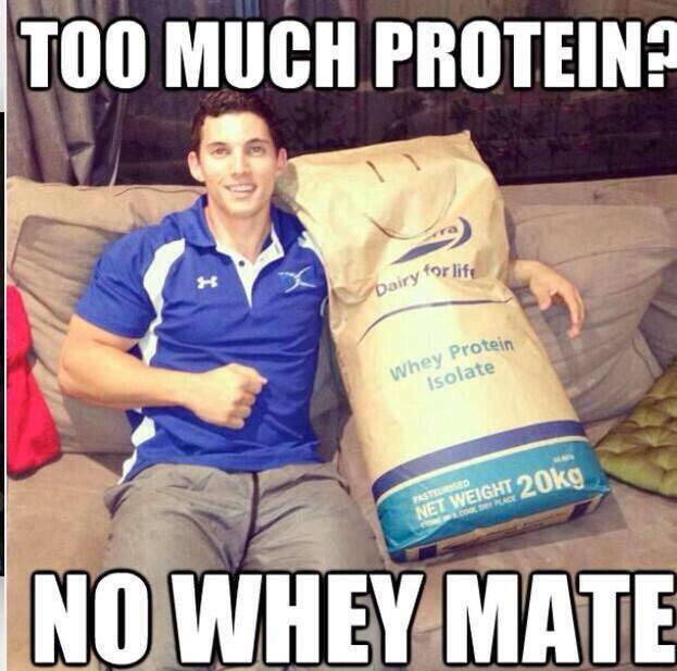 fmcgowanpt's tweet photo. 👏🏼👏🏼 #protein #whey #funny #fitness #gym #goals #legend 💪🏼💪🏼💪🏼 http://t.co/AZMFVyHP1V