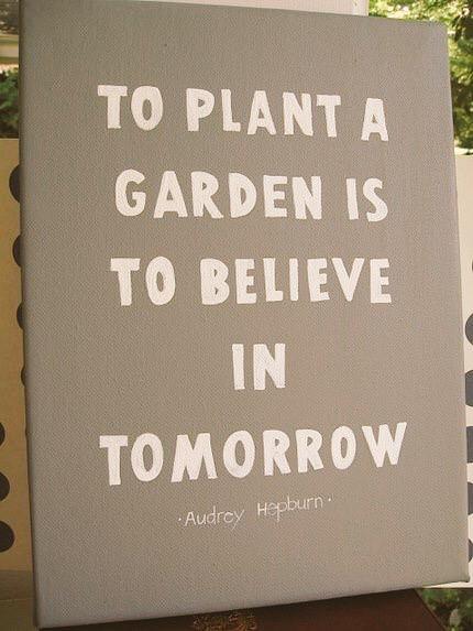 BeeSproutGarden's tweet photo. Hope! http://t.co/FCMzNDChuV