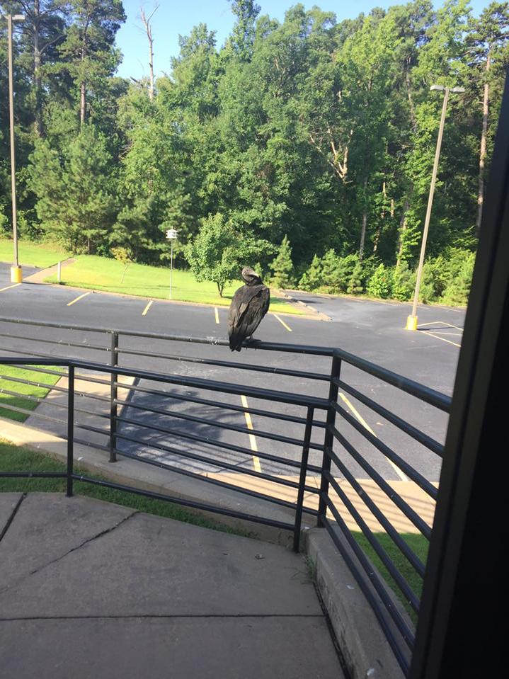 PHBCArkadelphia's tweet photo. Sorry pal but only Life in here this morning! http://t.co/ZkalYFW38L