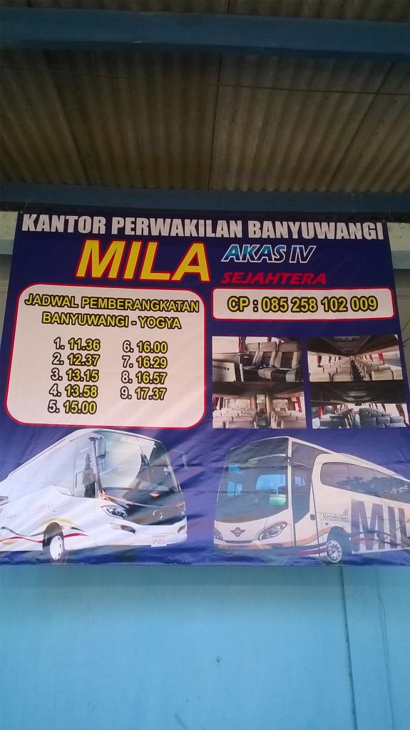 Jadwal keberangkatan Mila Sejahtera dari Banyuwangi @BismaniaOrg @BMC_Jatim <a href="/bmc_tapalkuda/">BMC Tapal Kuda</a> @BMC_SURABAYA <a href="/BMC_Malang/">Korwil Malang!</a>