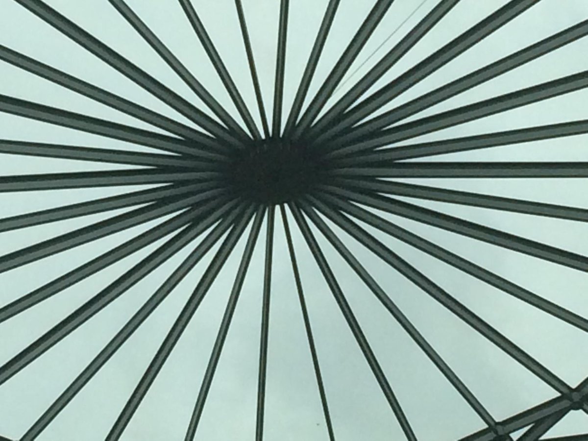 keeskom's tweet image. 