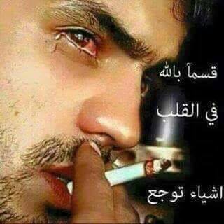 mountasar2's tweet image. 