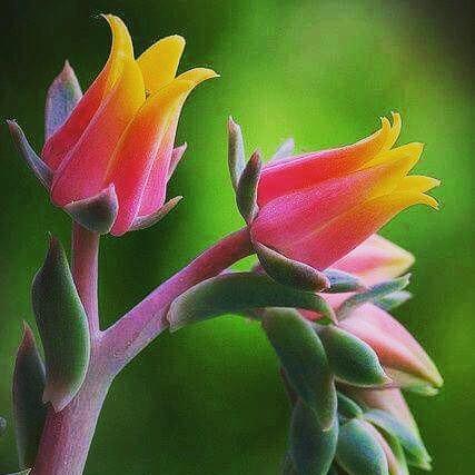 Mustaqkm's tweet photo. Hi Friends .
Follow me ;-) http://t.co/rfkYbI5efq