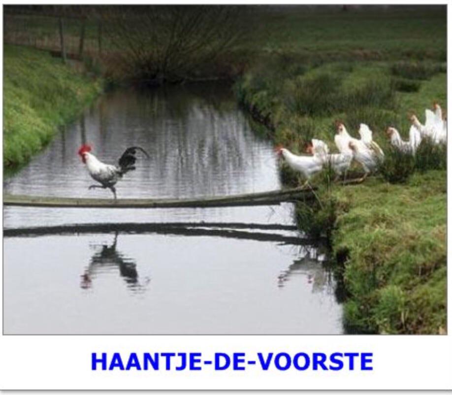 WoudEnsemble's tweet photo. Op weg naar landgoed Haanwijk!
Voor de (voorlopig) laatste voorstelling.....
@www.verkadefabriek.nl @WoudEnsemble http://t.co/fIFsE6V7Xp
