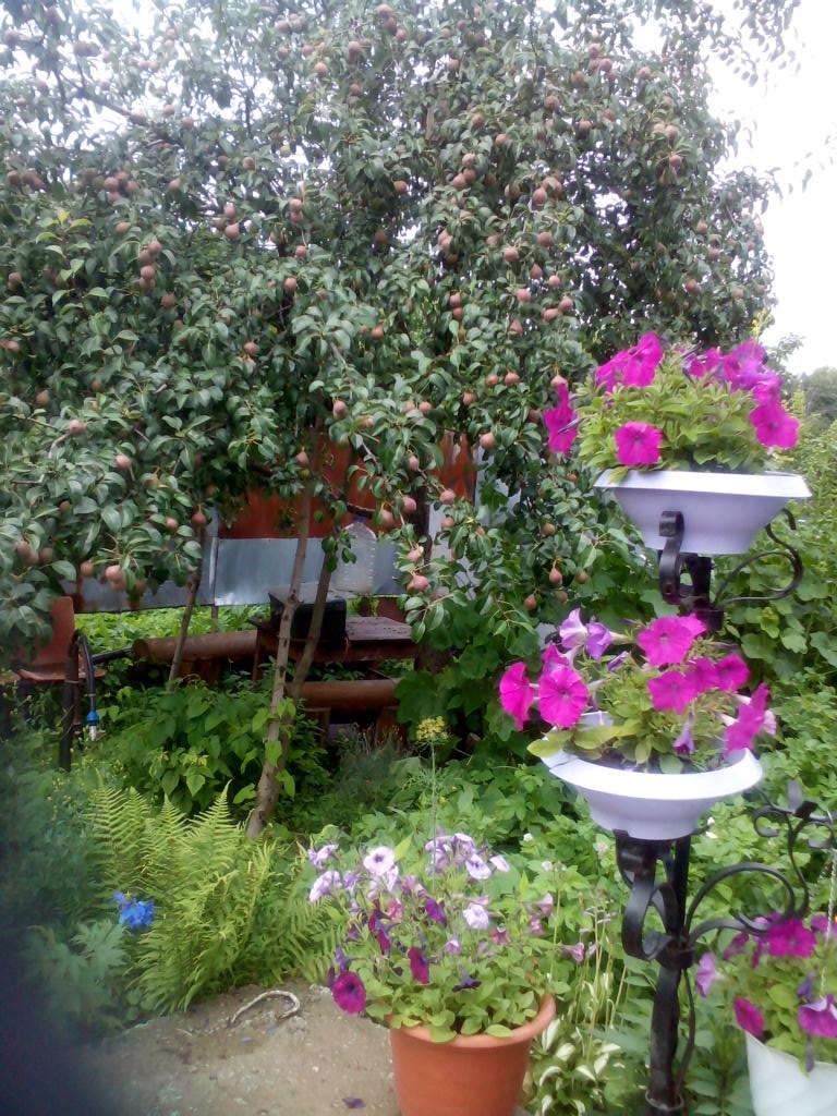 VSashenko's tweet image. В #Богучарово  #дождь закончился...#солнышко 
#красота перед #дом ом Спасибо #жена !