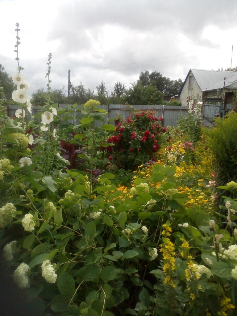 VSashenko's tweet image. В #Богучарово  #дождь закончился...#солнышко 
#красота перед #дом ом Спасибо #жена !