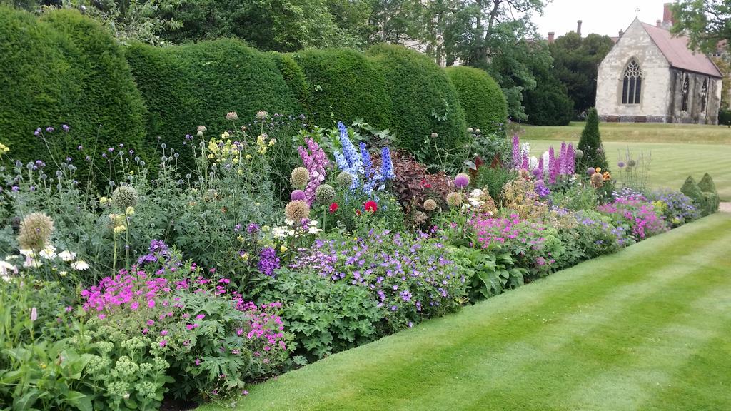 BishopsGardener's tweet photo. New herbaceous border still full of colour...Open for @Norfolkngs  today 1 pm to 5pm. Adults £3 .Kids are FREE. http://t.co/i4nIDeBsgT