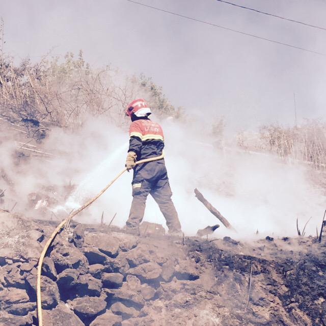 GLobios's tweet image. 