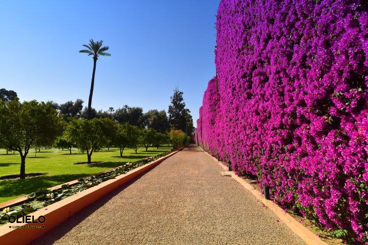 Olielo (@olielo_travels) on Twitter photo Outstanding garden at <a href="/La_Mamounia/">La Mamounia Marrakech المامونية مراكش</a> #Marrakech! #luxury #maroc #travel #garden goo.gl/1IZP6f Outstanding garden at <a href="/La_Mamounia/">La Mamounia Marrakech المامونية مراكش</a> #Marrakech! #luxury #maroc #travel #garden goo.gl/1IZP6f