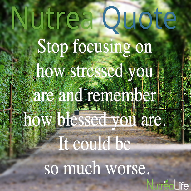 Nutrea_Life's tweet photo. NUTREA QUOTE

Don't focus on the #Stress, focus on all your #blessings

http://t.co/zku5mNyUZ9

#BeBlessed http://t.co/MyIpu1q8c2