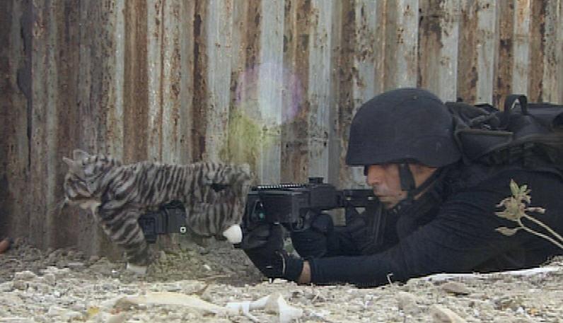 ぱらみり さらば すべてのxperia V Twitter イスラエルの非人道 非猫道 兵器 ネコーナーショット 猫好きは死ぬ 猫のぬいぐるみも死ぬ T Co Qoit3wgu5t