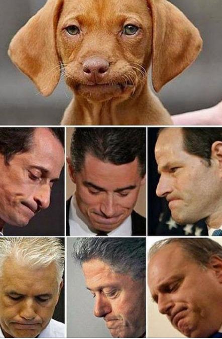 khalifallah's tweet photo. " How to tell if your dog is involved in a sex scandal... ROTFL!!!" #notallmenaredogs http://t.co/PZZqG2gNLo