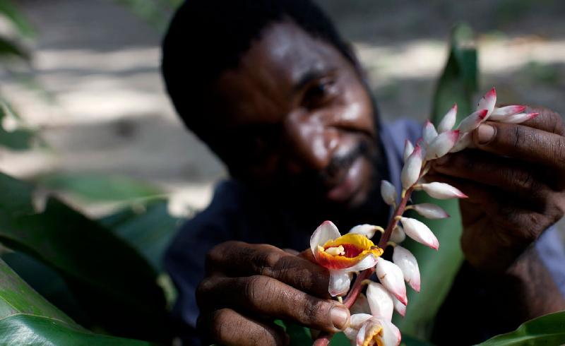 Oggi a #Expo2015 è il #NationalDay della Tanzania, un paradiso naturale profumato di vaniglia! magazine.expo2015.org/it/cultura/tan…