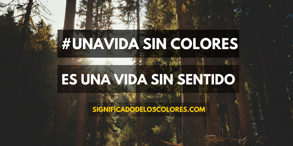 deloscolores's tweet photo. #UnaVida sin colores, es una vida sin sentido. http://t.co/FVlKkoZCYo http://t.co/njaPOLHiWi