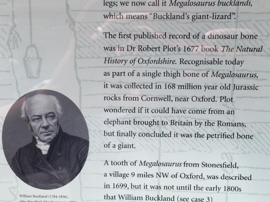 lfalvarezleon's tweet image. '...but finally concluded it was the petrified bone of a giant' #soscience #dinomystery