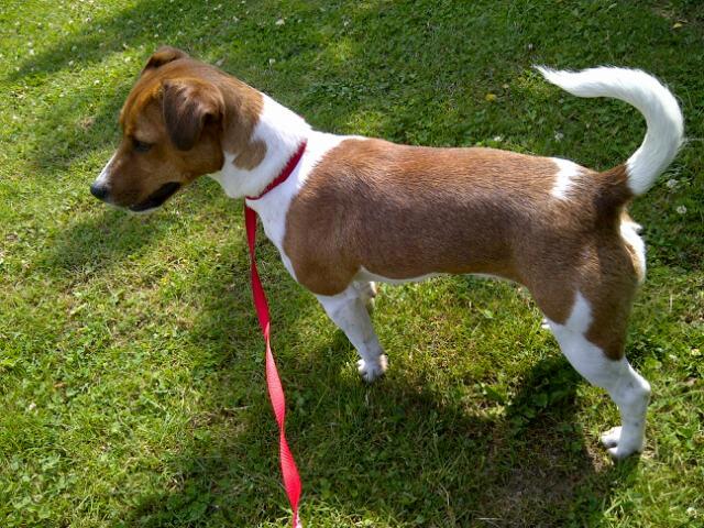 Rushcliffe Borough Council tweet media