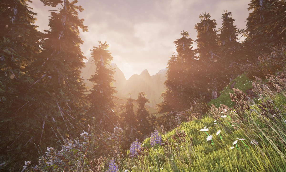 PolyPieCompany tweet picture