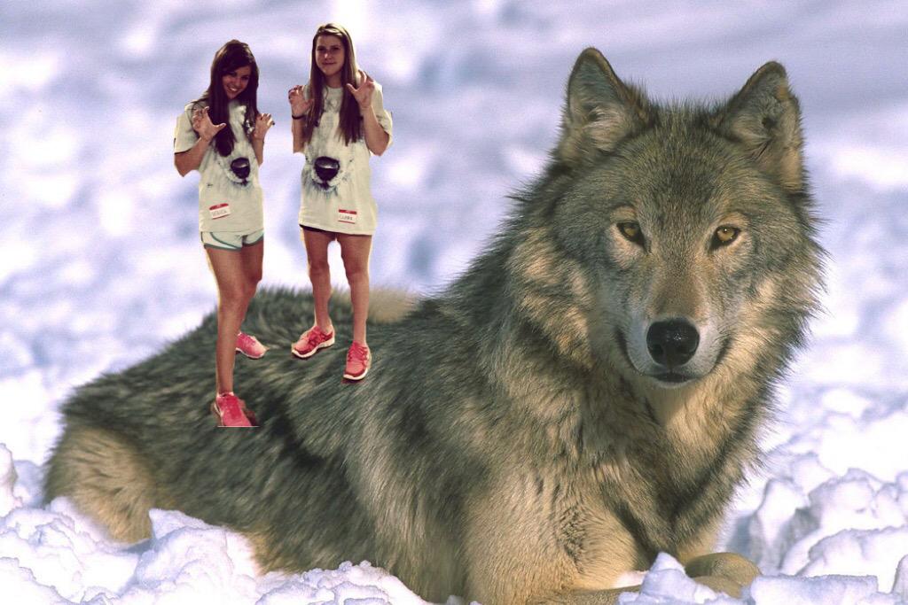 clairredavis's tweet image. Hi @thecorleychick in honor of your 19th birthday here are some pictures of us and our favorite things ilysm