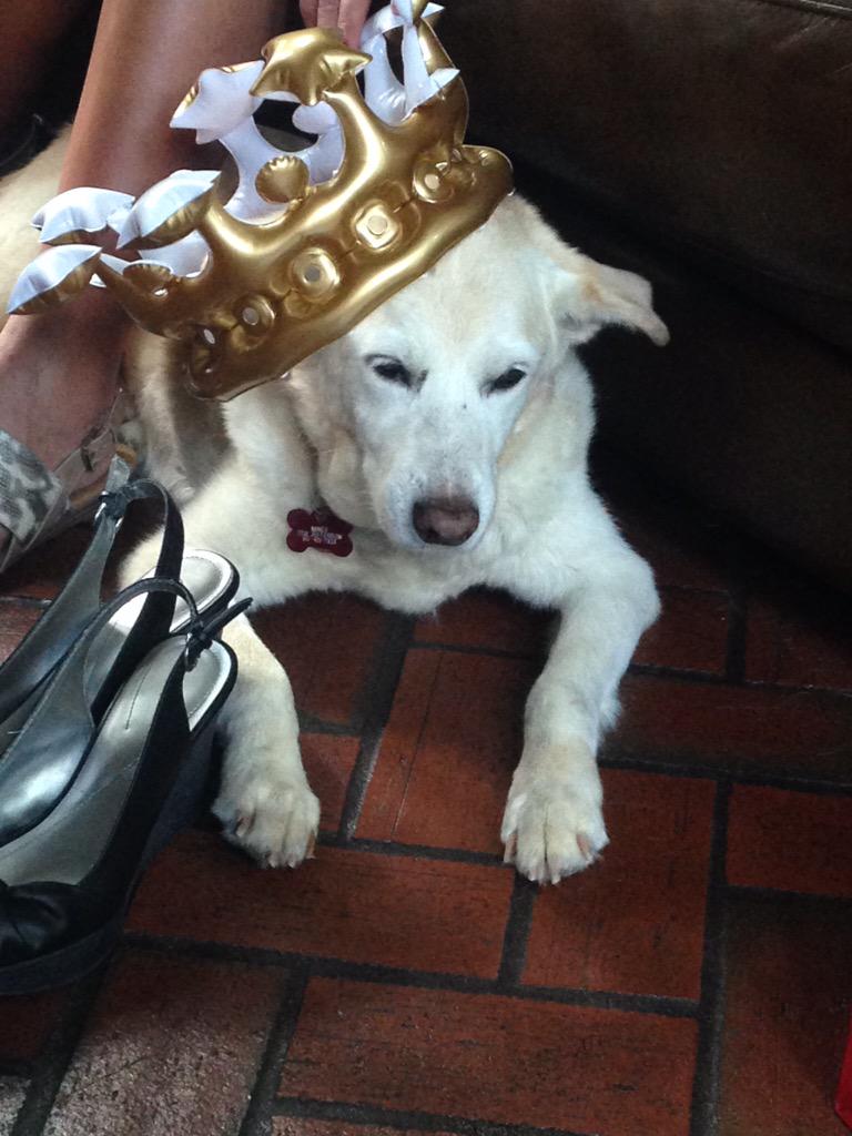 ItsYoPupMindy's tweet photo. you already know #beyonce http://t.co/Cnh2YgnZE4