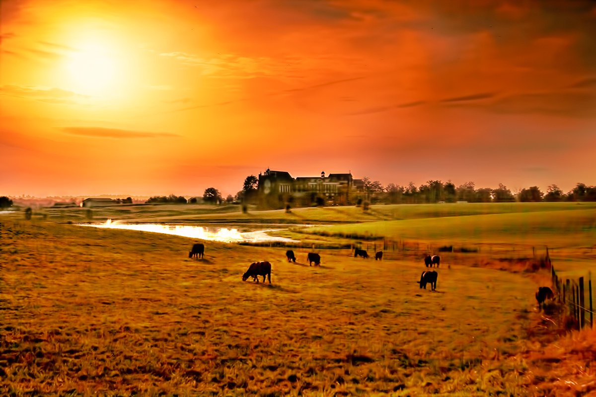 Saint Catharine College near Springfield, KY <a href="/SpringfieldTour/">Springfield Tourism</a> <a href="/swchamber1/">Springfield, KY CofC</a>