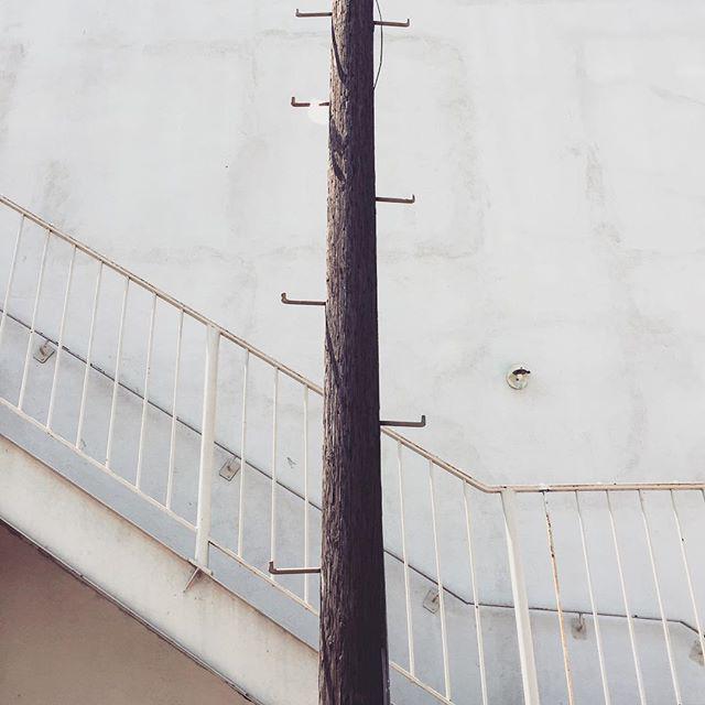 AimHighForLife's tweet image. On a trip to the #art store for some #supplies. #poll #stairs #minimalism #minimalmood #mi… ift.tt/1NYPrEq