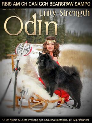 bearspawlappies's tweet photo. #OdintheLappy BOB/G1@ #LondonKennelClub! #FinnishLapphund #Suomenlapinkoira #WincOnLine #BearspawFinnishLapphunds http://t.co/rM1AUBozZV