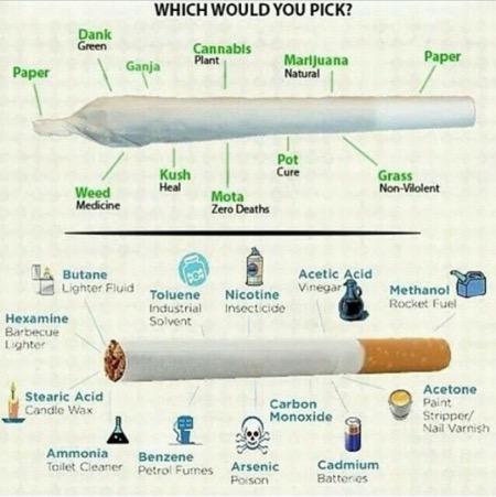 1 cigarette vs 1 joint Joint vs. Cigarette... The healthier choice is obvious. #spreadawareness  #mmot #mmj