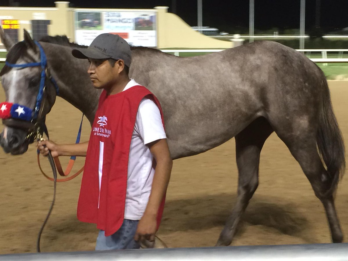 silver_promise's tweet photo. @rogueclown @cub1fan1962 Grey in the baby stake!! http://t.co/69wFe5v0vQ