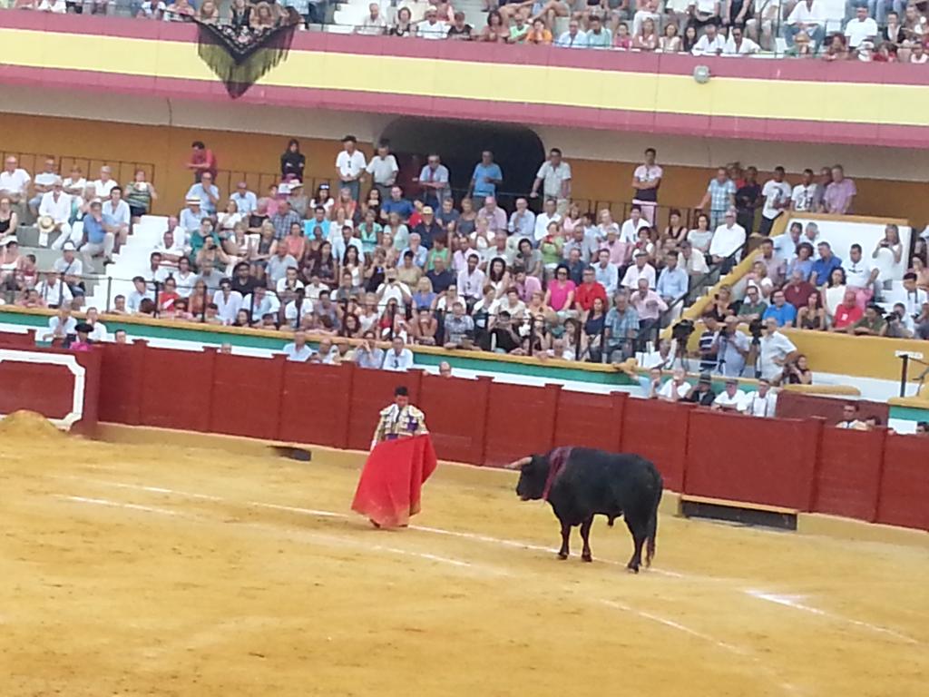 RomanFloria's tweet photo. De toros!!! http://t.co/FAmBJWEr1r