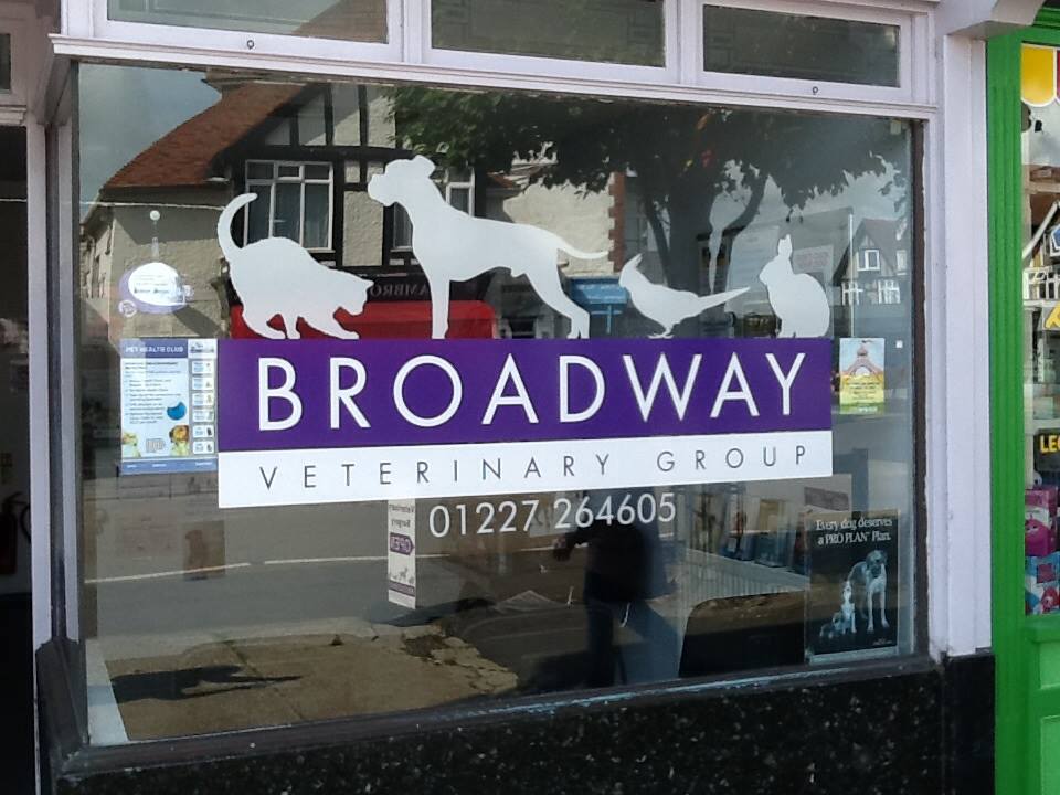 We're very lucky in Tankerton to have our own vets, Broadway Veterinary Group, with parking nearby