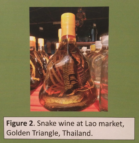 herzoghal's tweet photo. Images from the #isaz2015 conference posters. (Why I love these meetings.) Thnx Boria Sax and James Oxley. http://t.co/qhwFlzN1gh