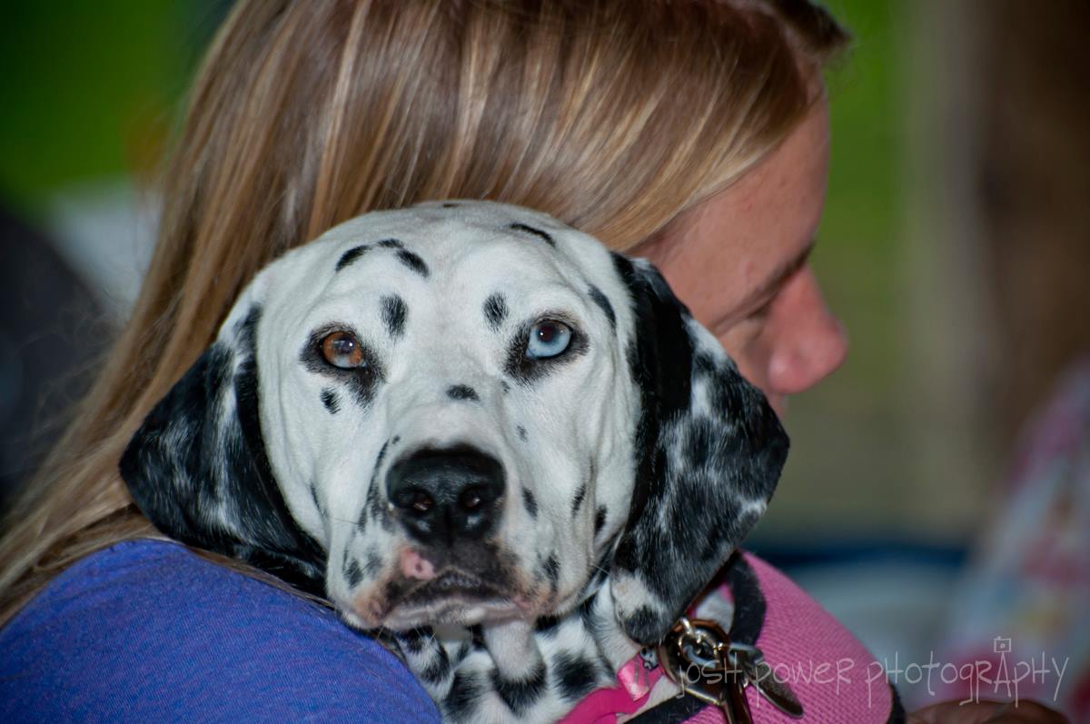 Josh Power Photography tweet media