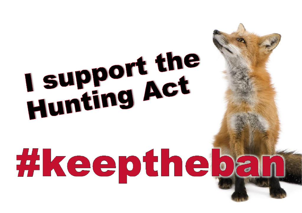 Protect_Wldlife's tweet photo. Please RT:-

A simple but POWERFUL statement -

 I Support The Hunting Act

#KeepTheBan http://t.co/2Ws7w7li52