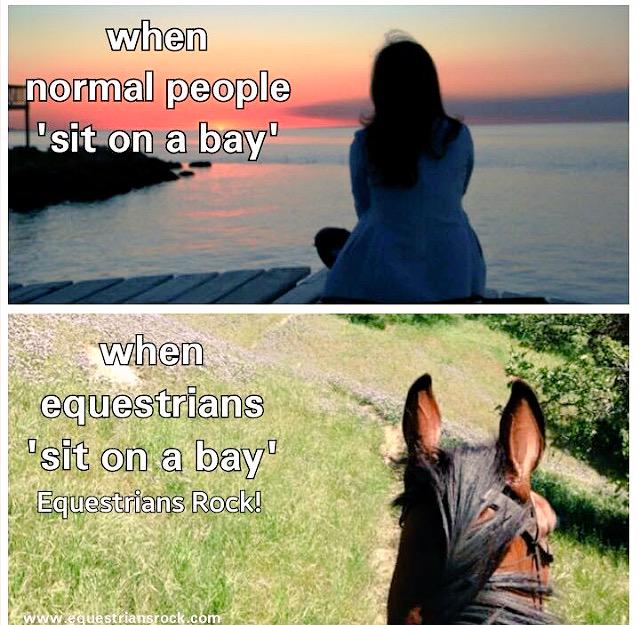 HorseShowTutor tweet picture