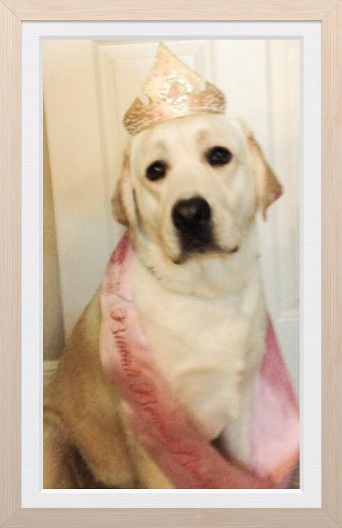 Milli had a spa day at the Hawley home! Ready for work. <a href="/ProcterPTA/">Procter Elementary</a> <a href="/ProcterPride/">Procter PBS</a>