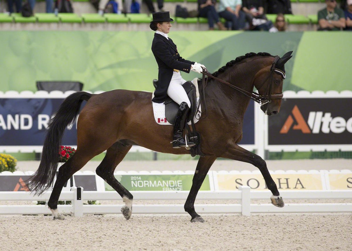TeamCanadaPR's tweet photo. MEDAL ALERT: Canadian #dressage team wins #equestrian SILVER | http://t.co/Wuhf08sJFq http://t.co/7h2yv5mALQ