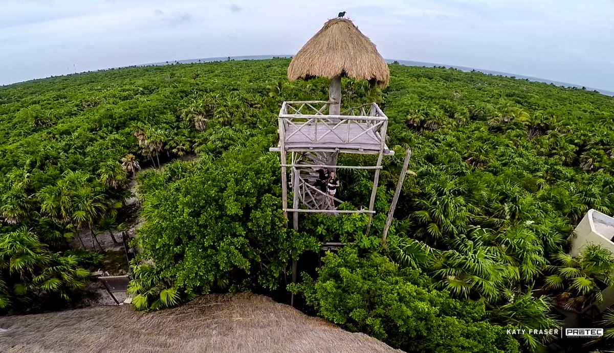 #4 of a week of jungle droning "abandoned jungle tree house'